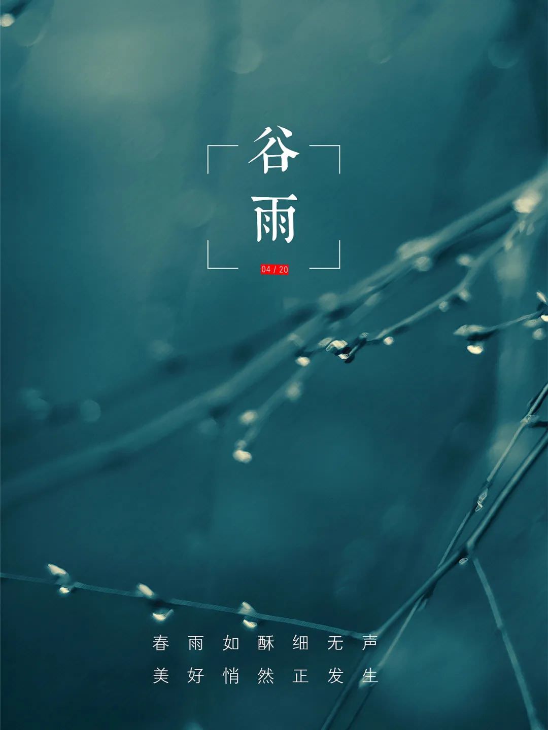 01488d60755b1a11013fb1173faf9a.jpg 圖片